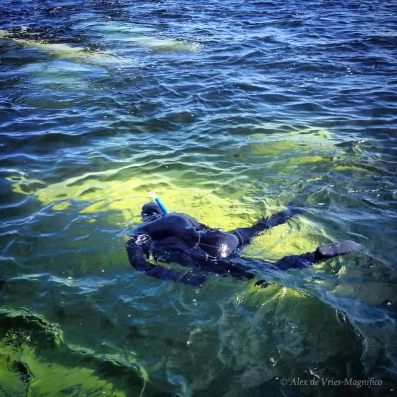 Wanderlust_tips_Nhung-diem-lan-bien-la-nhat-the-gioi-8