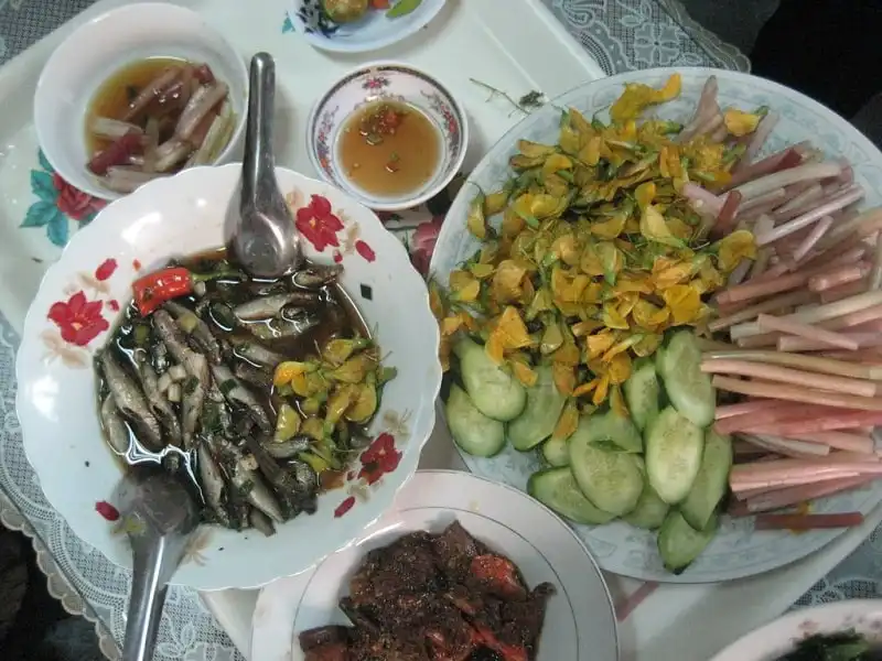 Rực rỡ miền Tây mùa hoa súng 11 Wanderlust_tips_ruc-ro-mien-tay-mua-hoa-sung-17