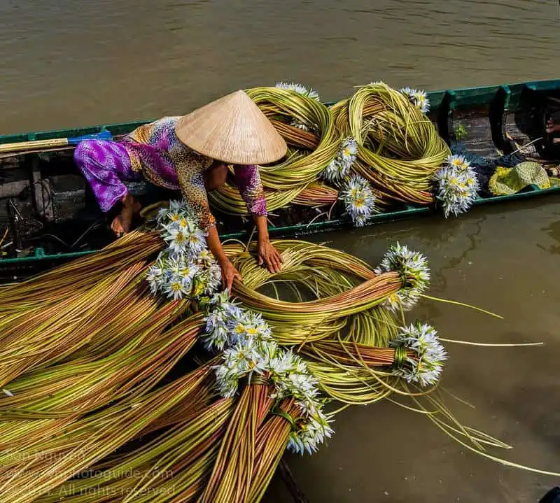 Rực rỡ miền Tây mùa hoa súng 8 Wanderlust_tips_ruc-ro-mien-tay-mua-hoa-sung-3