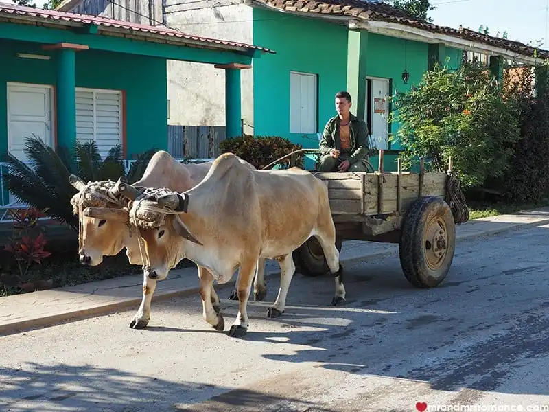 4 thành phố bạn nhất định phải ghé thăm khi tới Cuba 9 OLYMPUS DIGITAL CAMERA