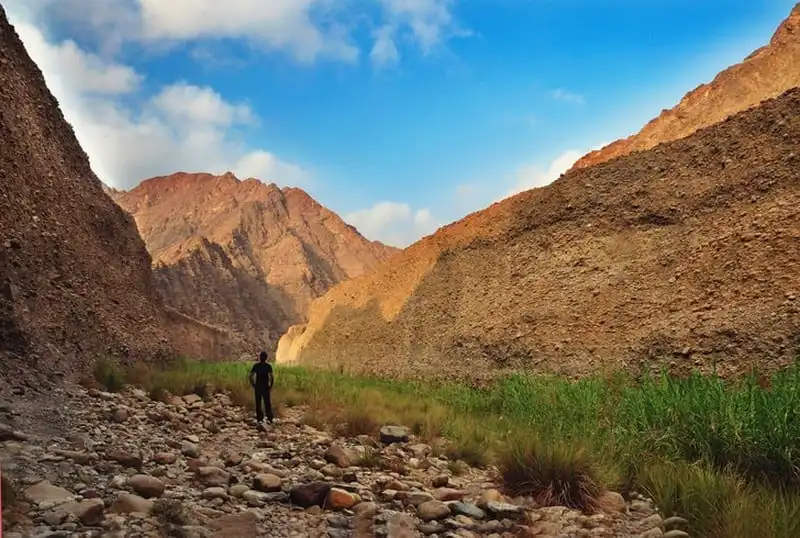 8 trải nghiệm thú vị nhất ở Các Tiểu vương quốc Ả rập thống nhất 13 wanderlust-tips-8-trai-nghiem-thu-vi-nhat-o-cac-tieu-vuong-quoc-a-rap-thong-nhat-9