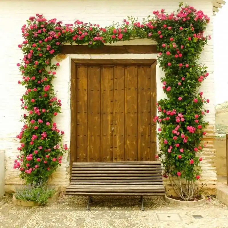 wanderlust-tips-an-tuong-nhung-canh-cua-tuyet-dep-tren-khap-the-gioi-2