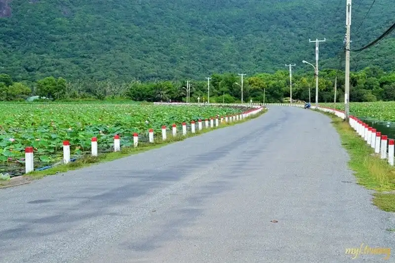 wanderlust-tips-chuyen-kham-pha-con-dao-hoang-so-cua-co-gai-sai-gon-2