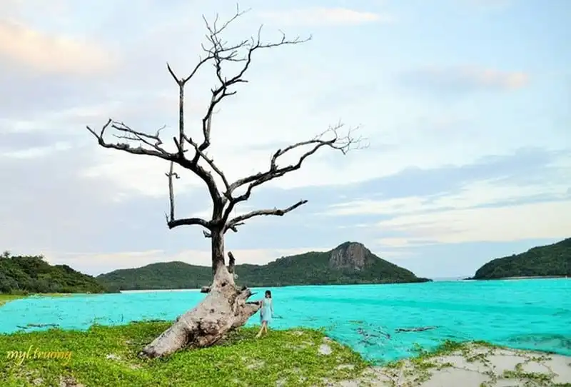 wanderlust-tips-chuyen-kham-pha-con-dao-hoang-so-cua-co-gai-sai-gon-6