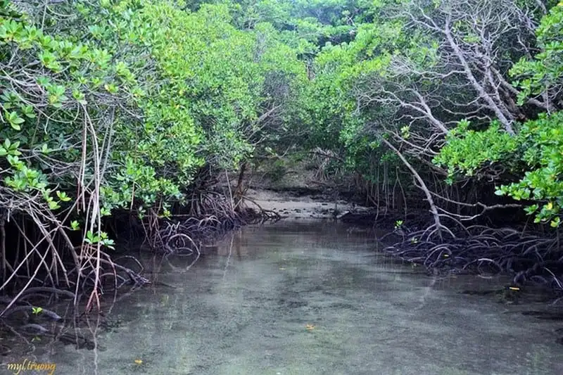 wanderlust-tips-chuyen-kham-pha-con-dao-hoang-so-cua-co-gai-sai-gon-8