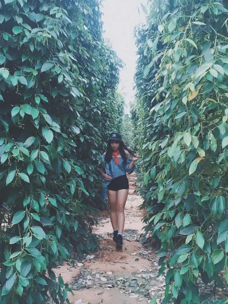 wanderlust-tips-co-nang-bien-tap-vien-9x-chia-se-trai-nghiem-du-lich-phu-quoc-dang-nho-12