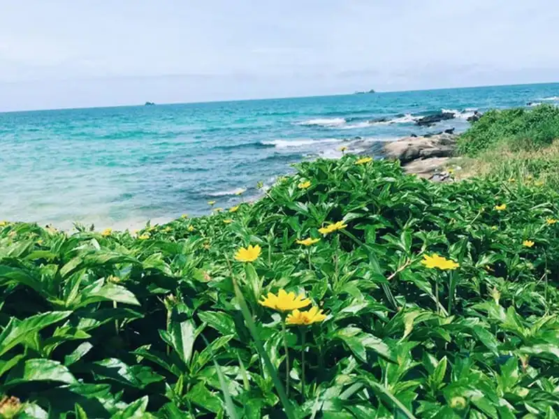 wanderlust-tips-co-nang-bien-tap-vien-9x-chia-se-trai-nghiem-du-lich-phu-quoc-dang-nho-4