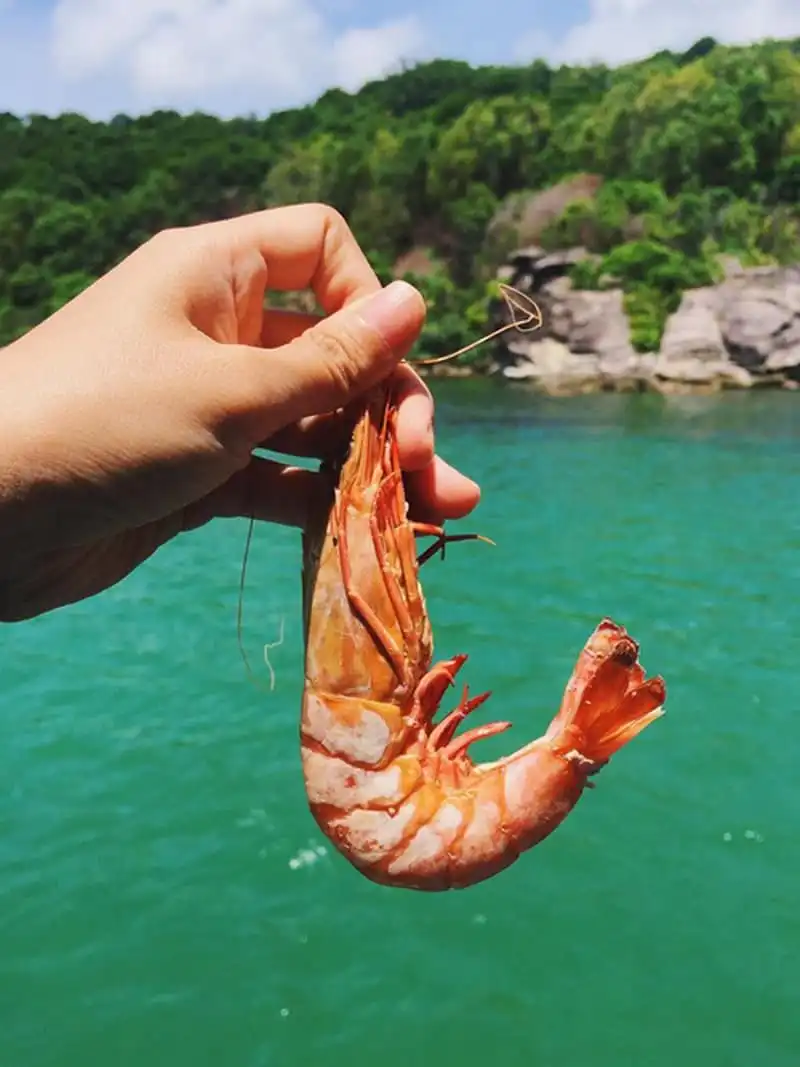 wanderlust-tips-co-nang-bien-tap-vien-9x-chia-se-trai-nghiem-du-lich-phu-quoc-dang-nho-9