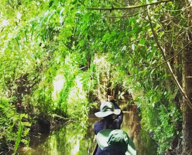 Đến Xẻo Quýt khám phá rừng tràm xanh mướt 6 wanderlust-tips-cuoi-tuan-nay-hay-toi-dong-thap-de-kham-pha-rung-tram-xanh-muot-10
