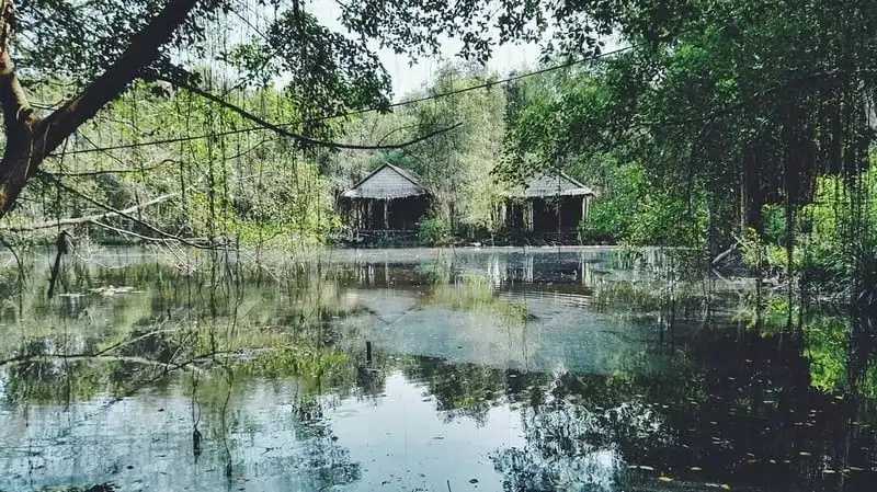 Đến Xẻo Quýt khám phá rừng tràm xanh mướt 7 wanderlust-tips-cuoi-tuan-nay-hay-toi-dong-thap-de-kham-pha-rung-tram-xanh-muot-2