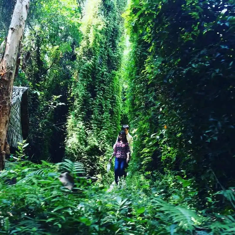Đến Xẻo Quýt khám phá rừng tràm xanh mướt 11 wanderlust-tips-cuoi-tuan-nay-hay-toi-dong-thap-de-kham-pha-rung-tram-xanh-muot-5