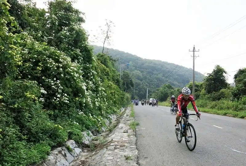 Đà Nẵng chuẩn bị đón khách dịp Đại hội Thể thao bãi biển châu Á lần thứ 5 5 wanderlust-tips-da-nang-chuan-bi-don-du-khach-dip-dai-hoi-the-thao-bai-bien-chau-a-lan-thu-5-1