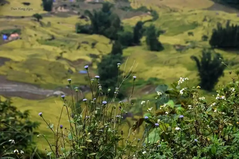 wanderlust-tips-dep-say-long-y-ty-mua-lua-chin-3