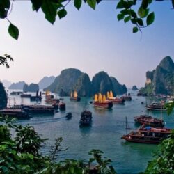 wanderlust tips du khach nuoc ngoai that vong vi vinh ha long khong giong anh 1