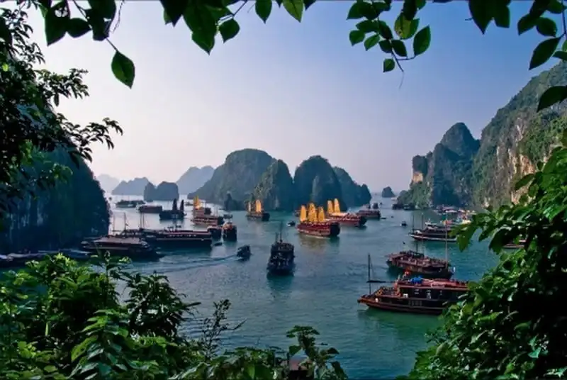 wanderlust-tips-du-khach-nuoc-ngoai-that-vong-vi-vinh-ha-long-khong-giong-anh-1