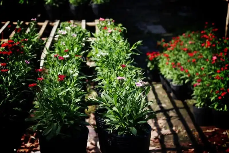 wanderlust-tips-ghe-tham-mien-tay-mua-nuoc-noi-13