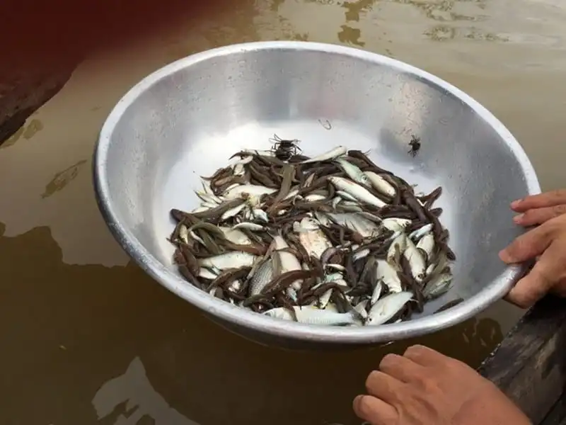 wanderlust-tips-ghe-tham-mien-tay-mua-nuoc-noi-2