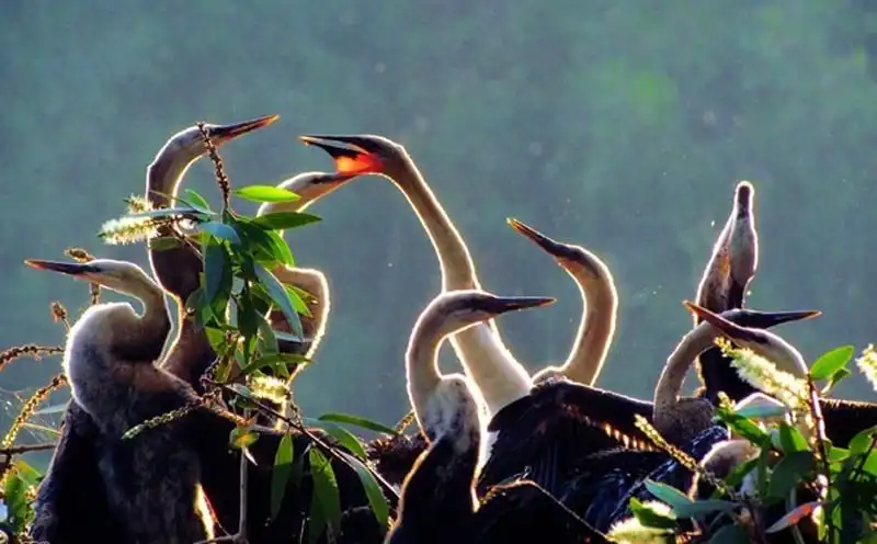 wanderlust-tips-ghe-tham-mien-tay-mua-nuoc-noi-8