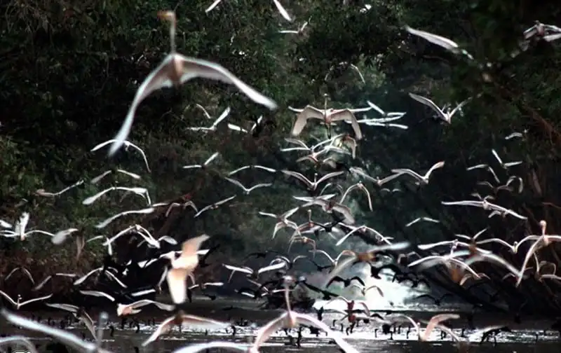 wanderlust-tips-ghe-tham-mien-tay-mua-nuoc-noi-9