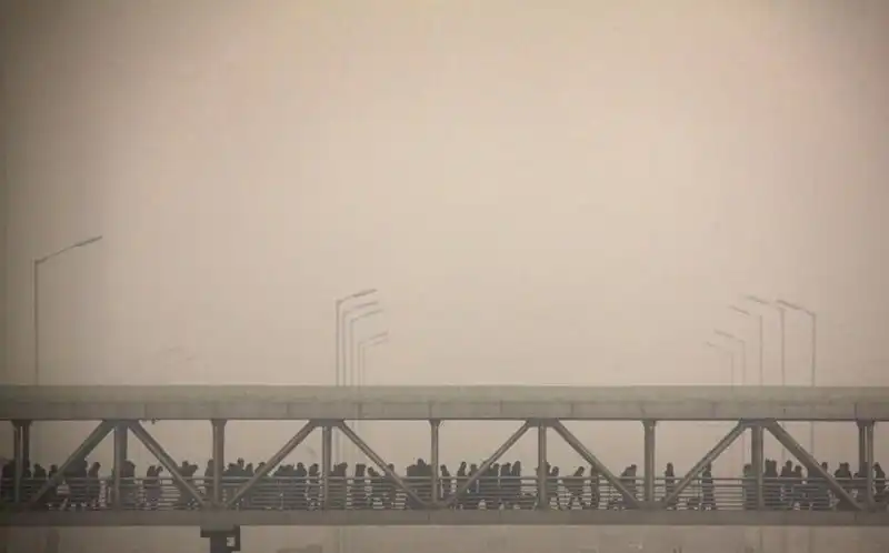 wanderlust-tips-ghe-tham-nhung-cay-cau-an-tuong-nhat-trung-quoc-8