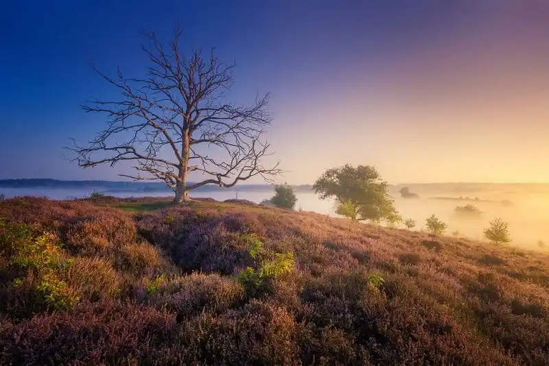 wanderlust-tips-ha-lan-dep-mong-mo-trong-sac-tim-biec-thach-nam-8