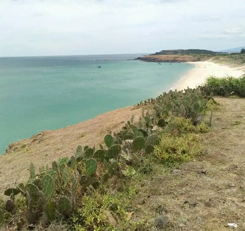 wanderlust-tips-hari-won-khoe-anh-rang-ro-tai-bai-xep-phu-yen-10