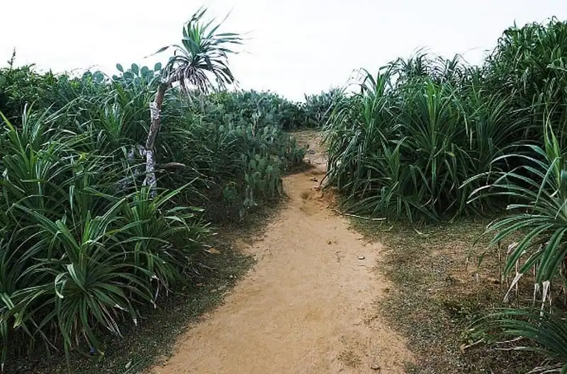 wanderlust-tips-hari-won-khoe-anh-rang-ro-tai-bai-xep-phu-yen-12