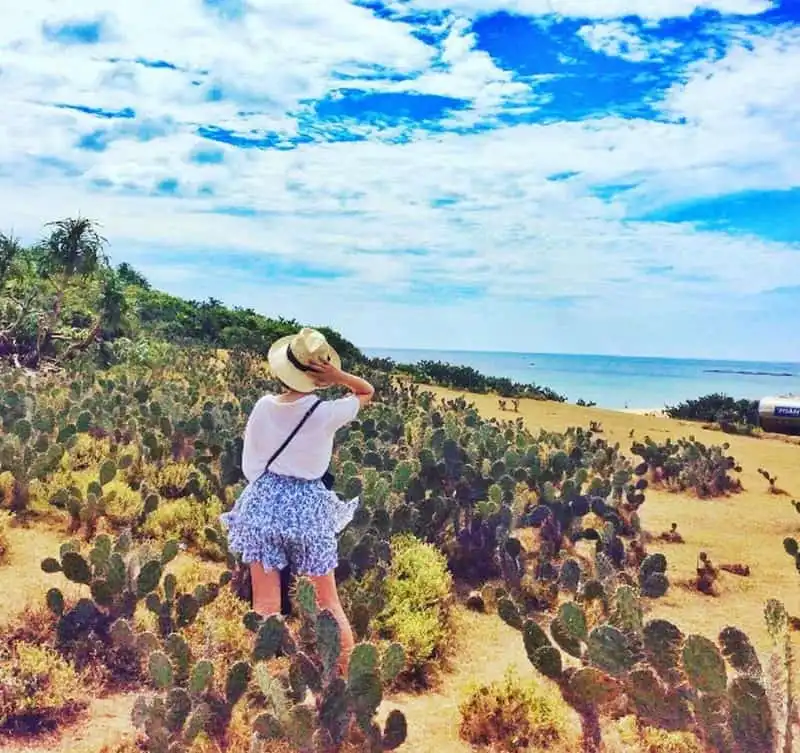 wanderlust-tips-hari-won-khoe-anh-rang-ro-tai-bai-xep-phu-yen-8