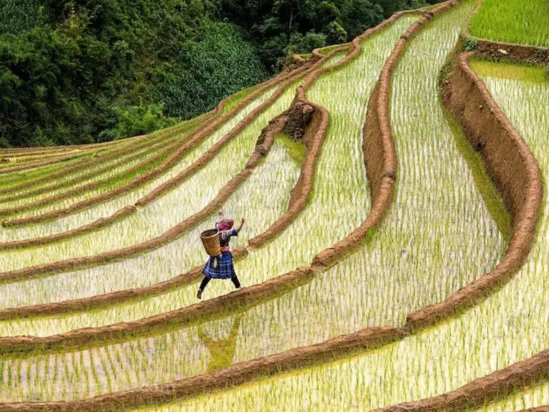 Không chỉ đơn thuần là vẻ đẹp, những bức ảnh còn gửi gắm văn hóa đặc sắc 5 wanderlust-tips-khong-chi-don-thuan-la-ve-dep-nhung-buc-anh-con-gui-gam-van-hoa-dac-sac-6