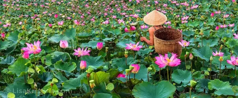Không chỉ đơn thuần là vẻ đẹp, những bức ảnh còn gửi gắm văn hóa đặc sắc 7 wanderlust-tips-khong-chi-don-thuan-la-ve-dep-nhung-buc-anh-con-gui-gam-van-hoa-dac-sac-8