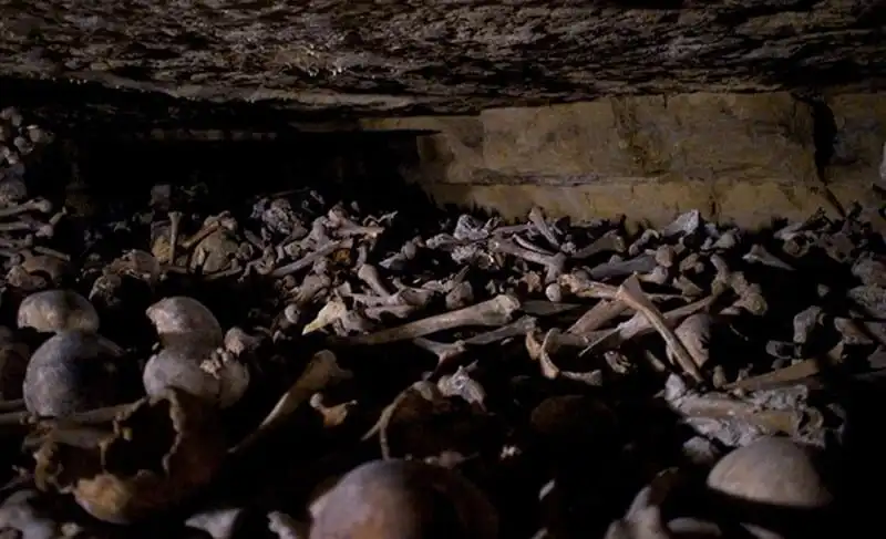 wanderlust-tips-kinh-ngac-cong-trinh-ngam-chat-day-dau-lau-o-parisi-6