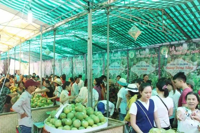 Lễ hội thanh trà Huế thu hút du khách 5 wanderlust-tips-le-hoi-thanh-tra-hue-thu-hut-du-khach--1