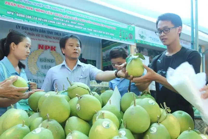 Lễ hội thanh trà Huế thu hút du khách 10 wanderlust-tips-le-hoi-thanh-tra-hue-thu-hut-du-khach--6