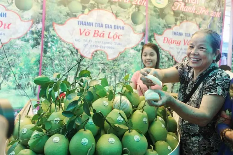 Lễ hội thanh trà Huế thu hút du khách 11 wanderlust-tips-le-hoi-thanh-tra-hue-thu-hut-du-khach--8