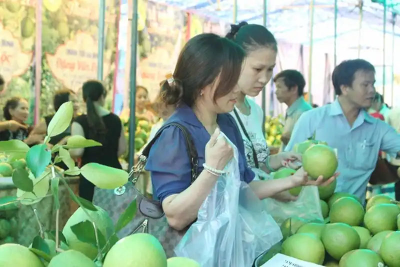 Lễ hội thanh trà Huế thu hút du khách 12 wanderlust-tips-le-hoi-thanh-tra-hue-thu-hut-du-khach--9