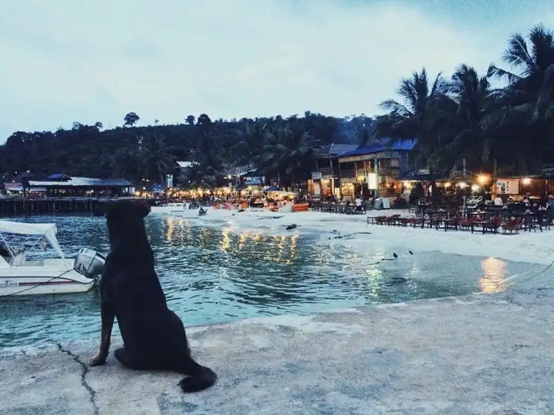 Kinh nghiệm du lịch Koh Rong Samloem từ Sài Gòn 8 wanderlust-tips-lich-trinh-chi-tiet-du-lich-samloem-tu-sai-gon-4