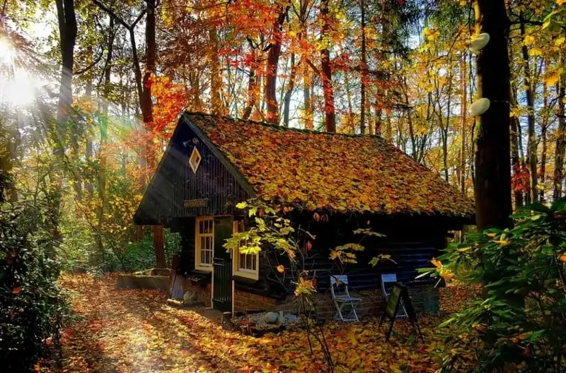 wanderlust-tips-lnhung-can-nha-day-an-tuong-giua-thien-nhien-ky-vi-15