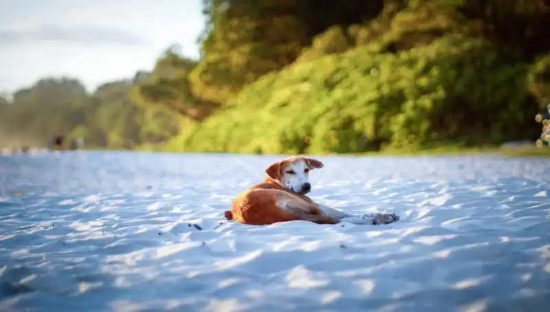 wanderlust-tips-nhung-buc-anh-khien-ban-muon-xach-ba-lo-va-toi-an-do-ngay-lap-tuc-12