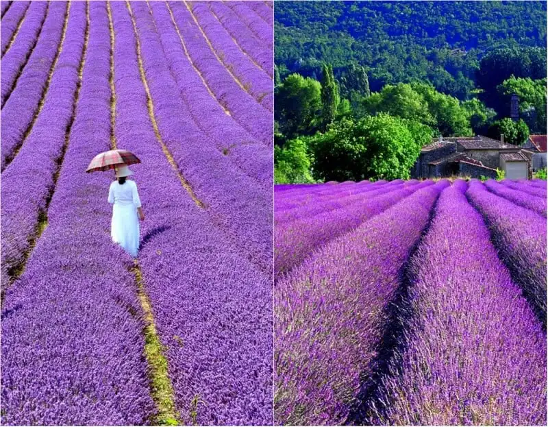 wanderlust-tips-nhung-ly-do-khien-ai-cung-phai-long-nuoc-phap-5