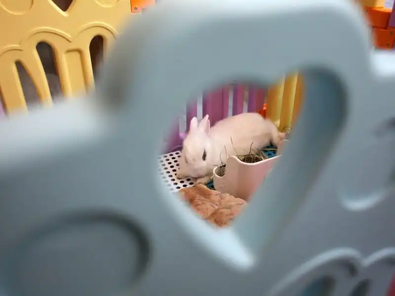 wanderlust-tips-quan-cafe-tho-dau-tien-o-hong-kong-10