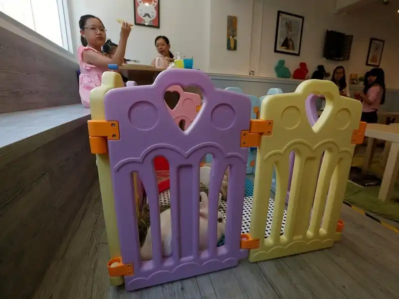 wanderlust-tips-quan-cafe-tho-dau-tien-o-hong-kong-3