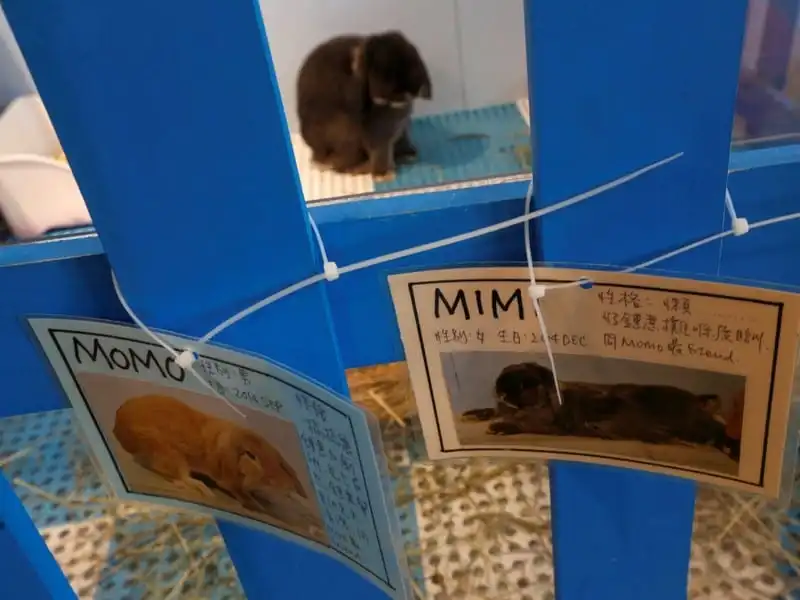 wanderlust-tips-quan-cafe-tho-dau-tien-o-hong-kong-4