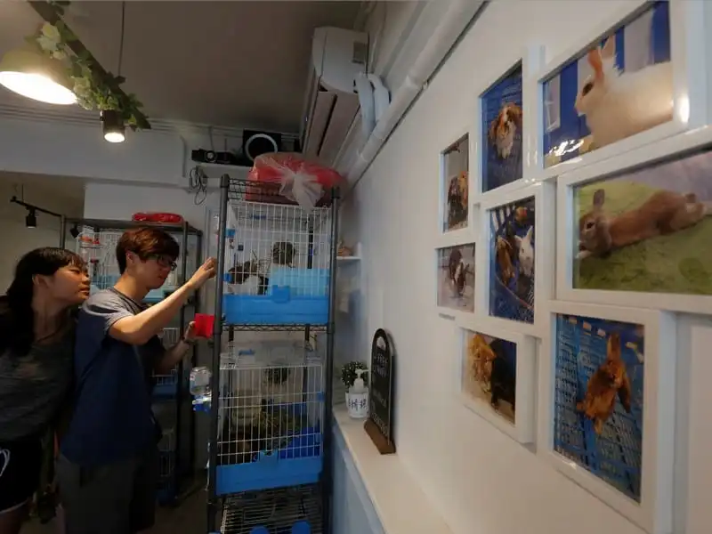 wanderlust-tips-quan-cafe-tho-dau-tien-o-hong-kong-9