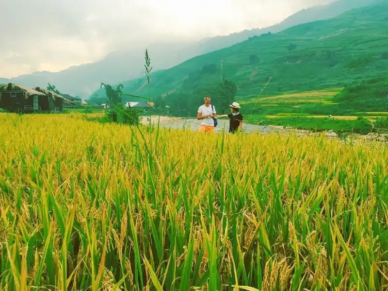 Say đắm những cung đường ngắm mùa lúa vàng ở vùng núi phía Bắc 8 wanderlust-tips-say-dam-nhung-cung-duong-ngam-mua-lua-vang-o-vung-nui-phia-bac-4