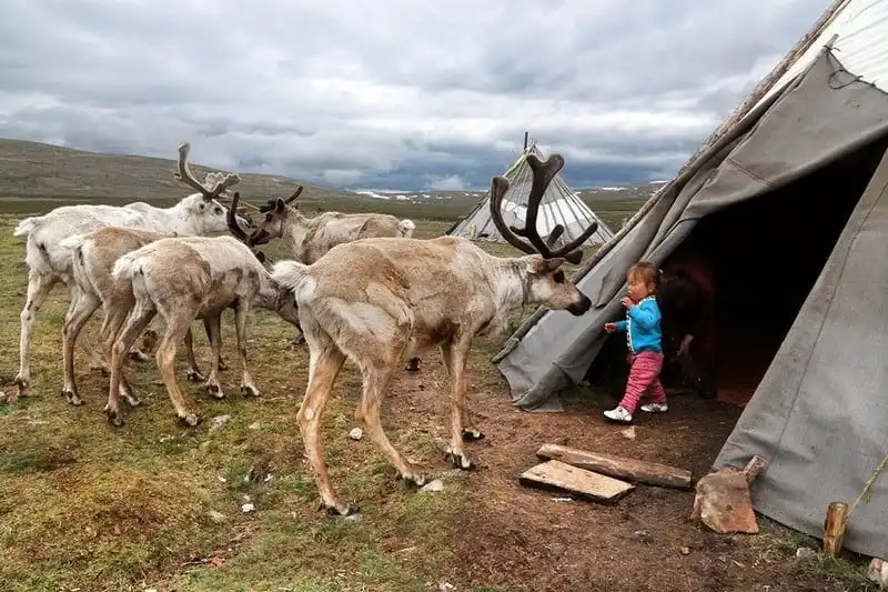wanderlust-tips-toi-tham-bo-lac-chan-nuoi-tuan-loc-cuoi-cung-o-mong-co-5