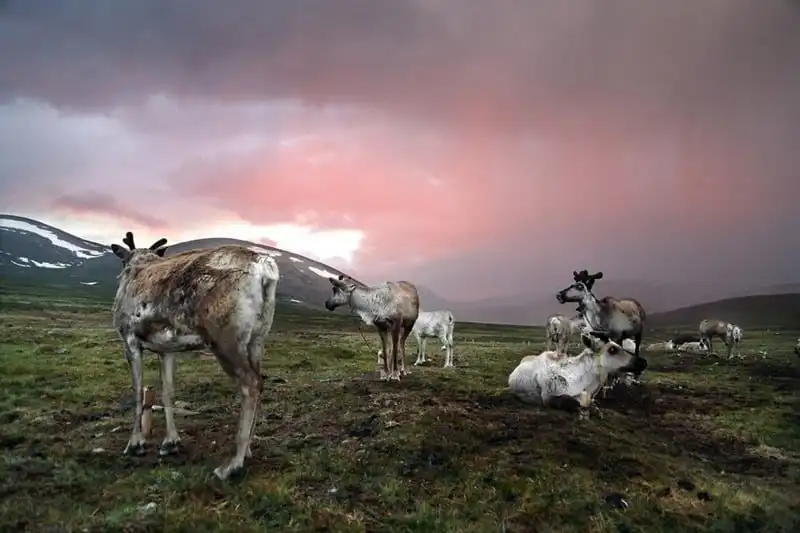 wanderlust-tips-toi-tham-bo-lac-chan-nuoi-tuan-loc-cuoi-cung-o-mong-co-7