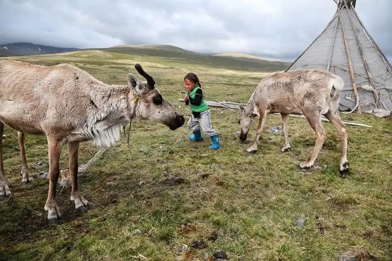 wanderlust-tips-toi-tham-bo-lac-chan-nuoi-tuan-loc-cuoi-cung-o-mong-co-8