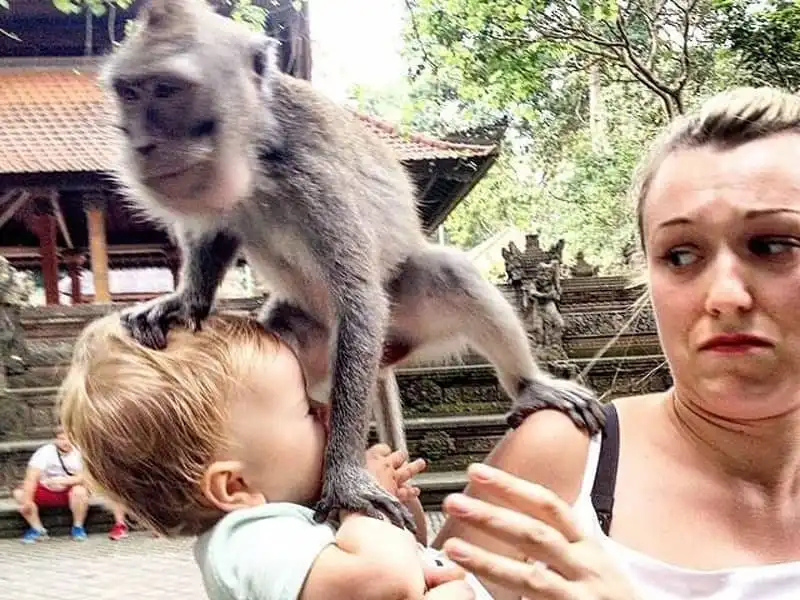 wanderlust-tips-tranh-thu-ky-nghi-thai-san-me-dua-con-gai-moi-sinh-cung-di-du-lich-khap-noi-14