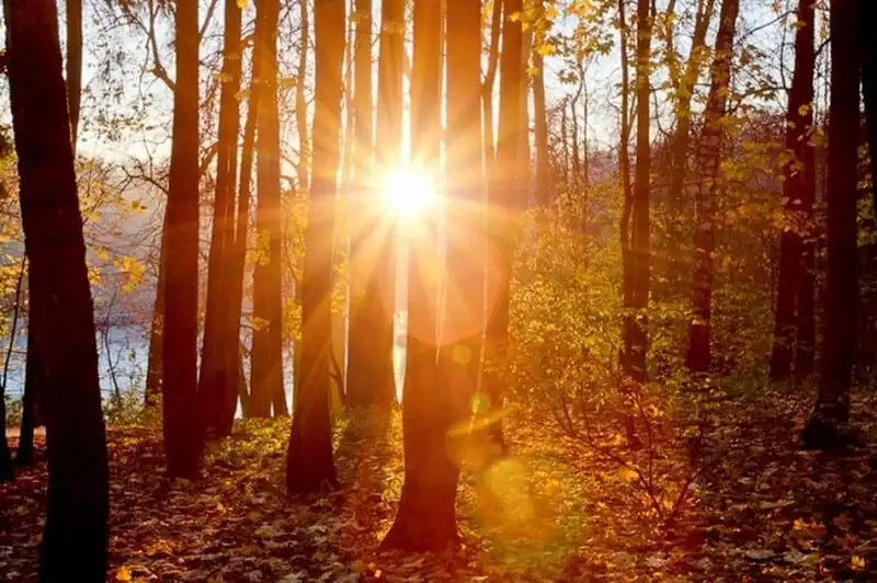 wanderlust-tips-ve-dep-mua-thu-tren-khap-the-gioi-4