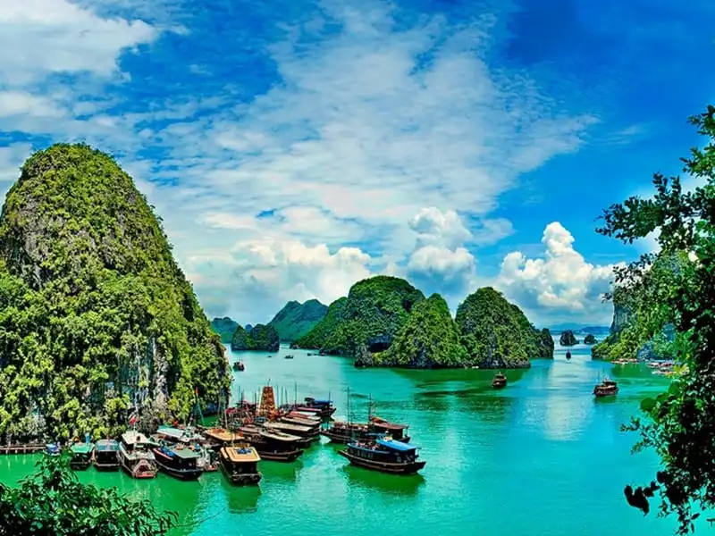 wanderlust-tips-viet-nam-lot-top-quoc-gia-duoc-du-khach-yeu-thich-nhat-1
